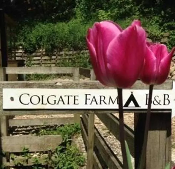 Bed and Breakfast Colgate Farm