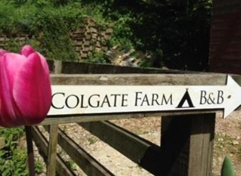 Bed and Breakfast Colgate Farm