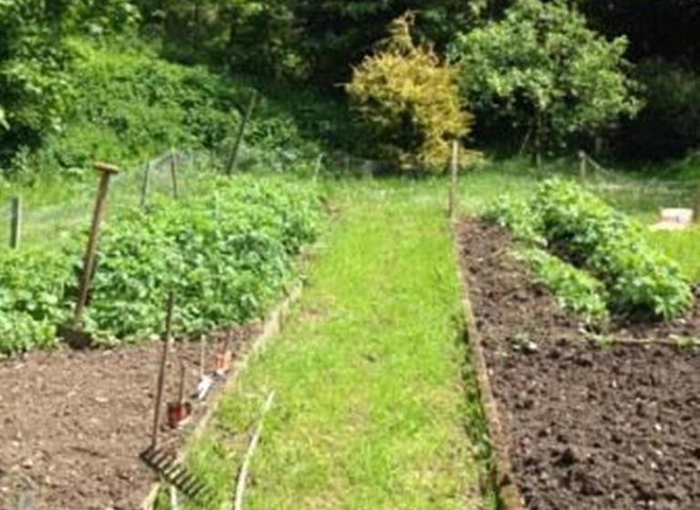 Bed and Breakfast Colgate Farm