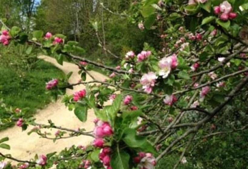 Bed and Breakfast Colgate Farm