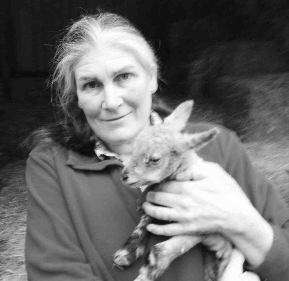 Bed and Breakfast Colgate Farm