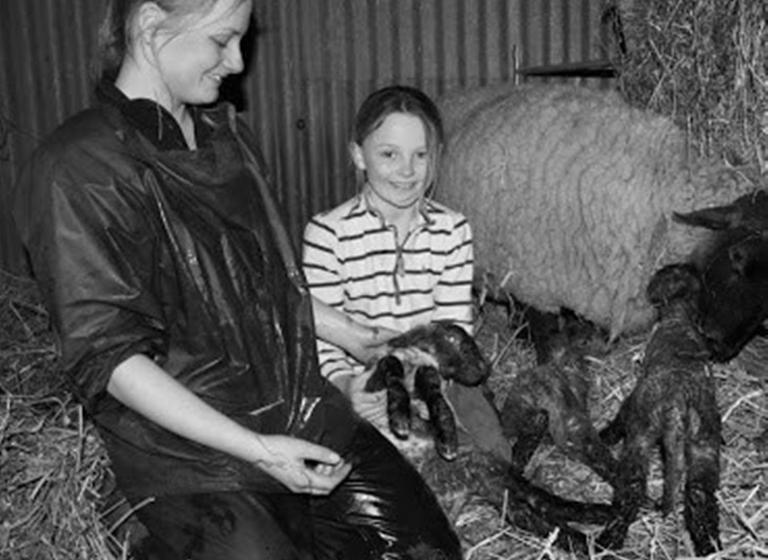 Bed and Breakfast Colgate Farm