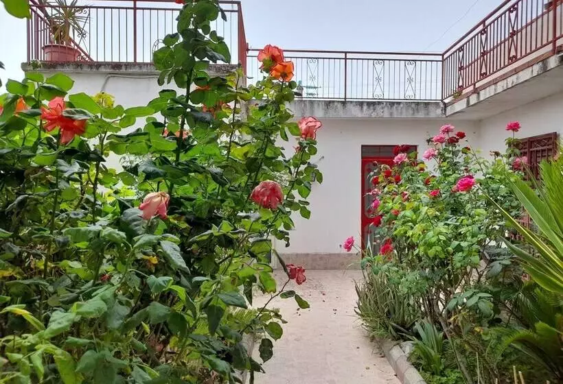 צימר Rosa Di Calabria