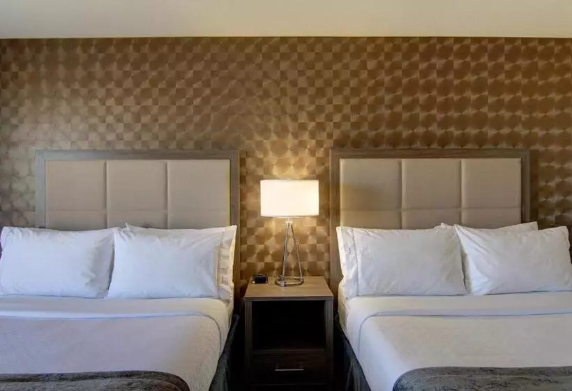 فندق Canalta Kindersley