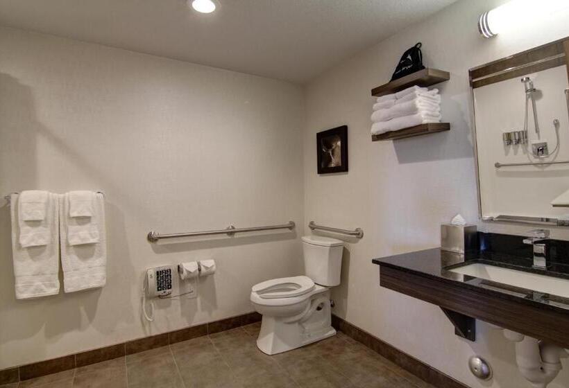 酒店 Canalta Kindersley