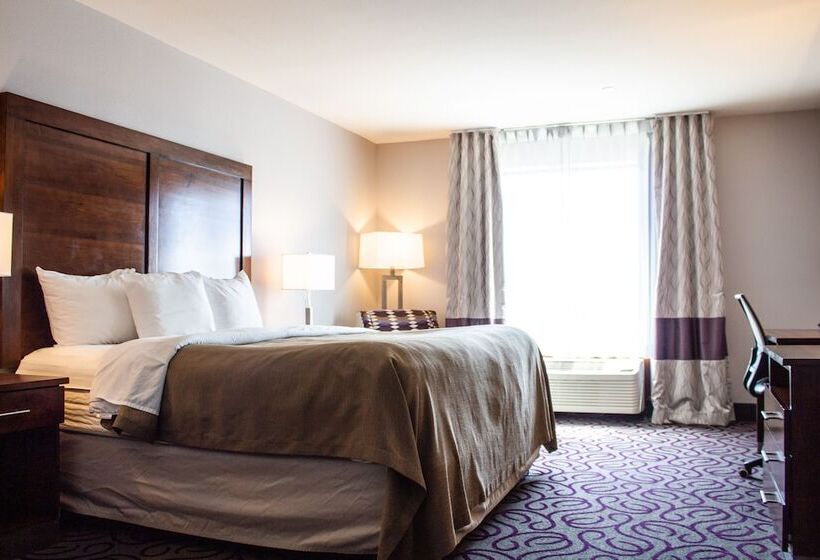 فندق Comfort Inn & Suites