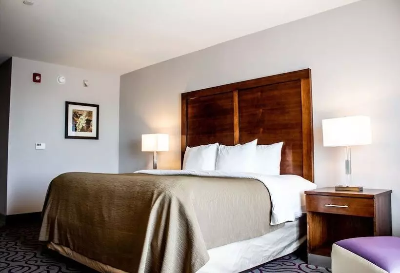 ホテル Comfort Inn & Suites