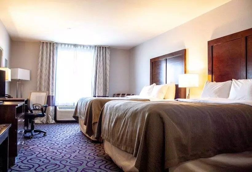 ホテル Comfort Inn & Suites