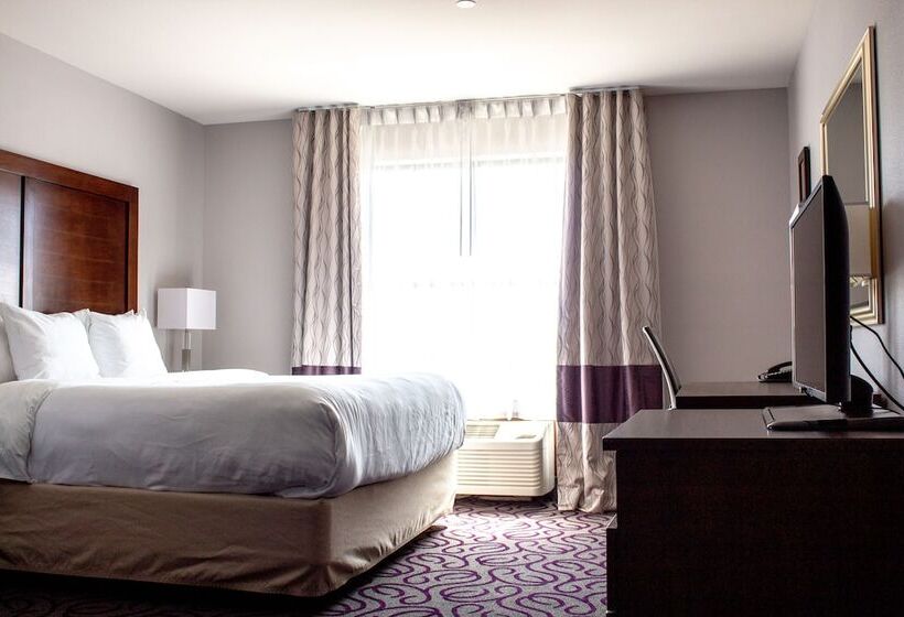 فندق Comfort Inn & Suites