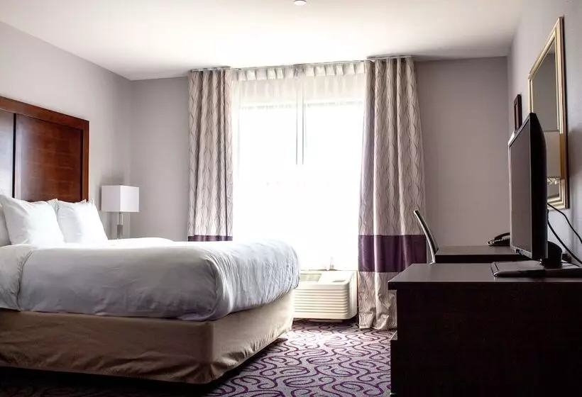 ホテル Comfort Inn & Suites