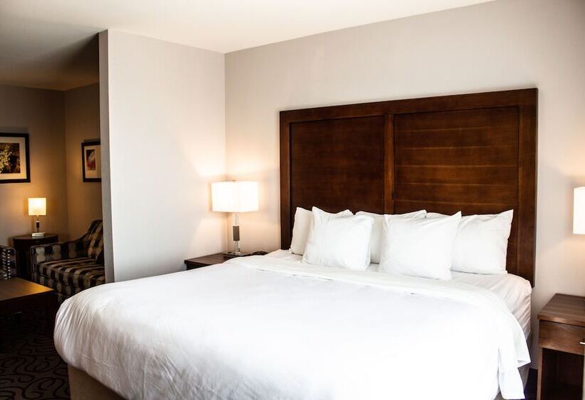 فندق Comfort Inn & Suites