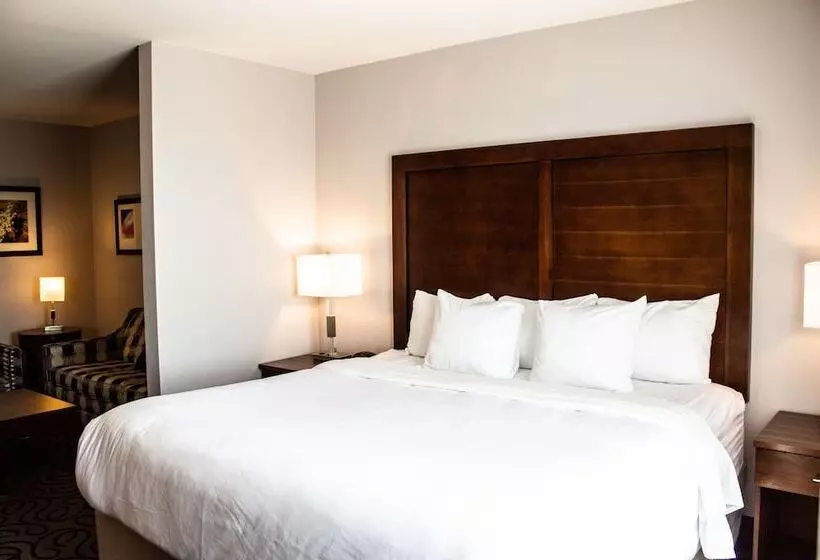 ホテル Comfort Inn & Suites