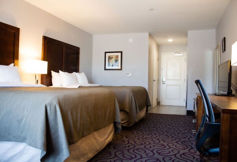 فندق Comfort Inn & Suites