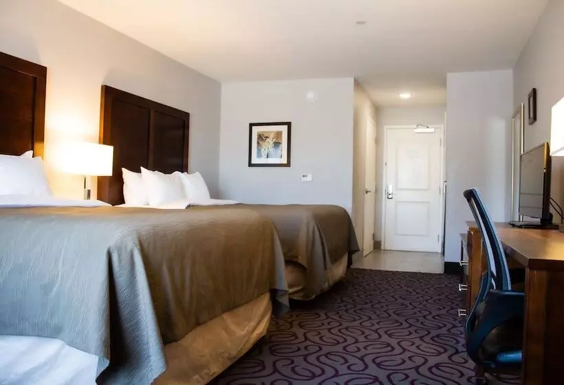 ホテル Comfort Inn & Suites