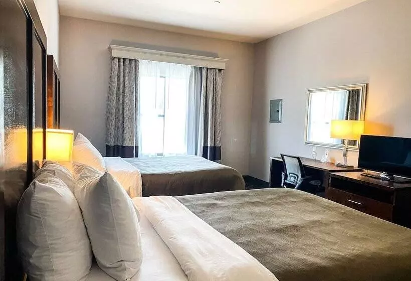 ホテル Comfort Inn & Suites