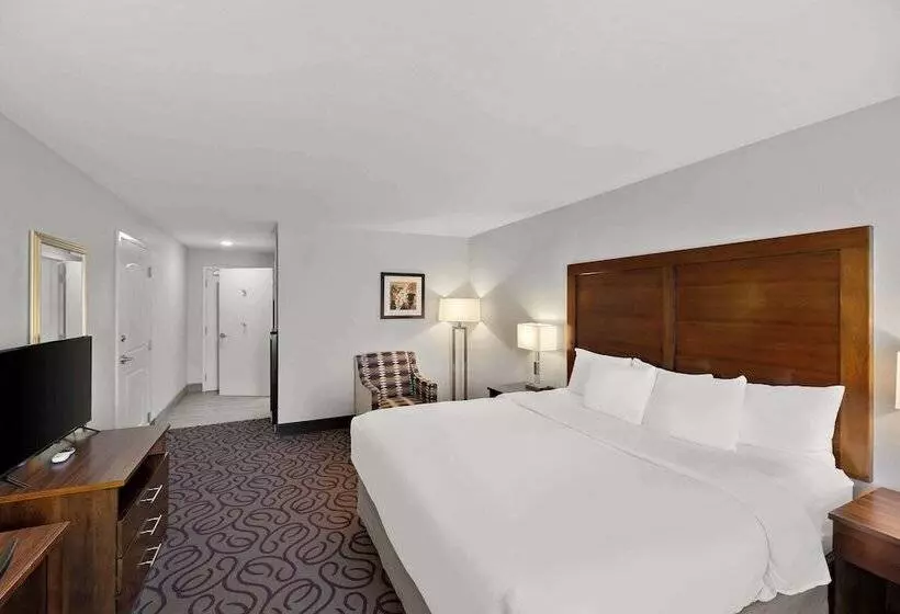 ホテル Comfort Inn & Suites