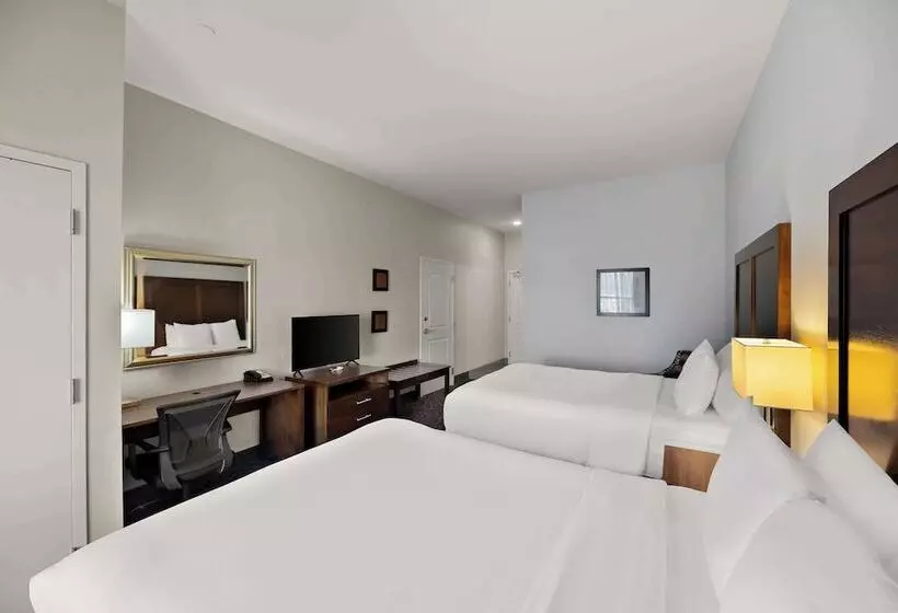 ホテル Comfort Inn & Suites