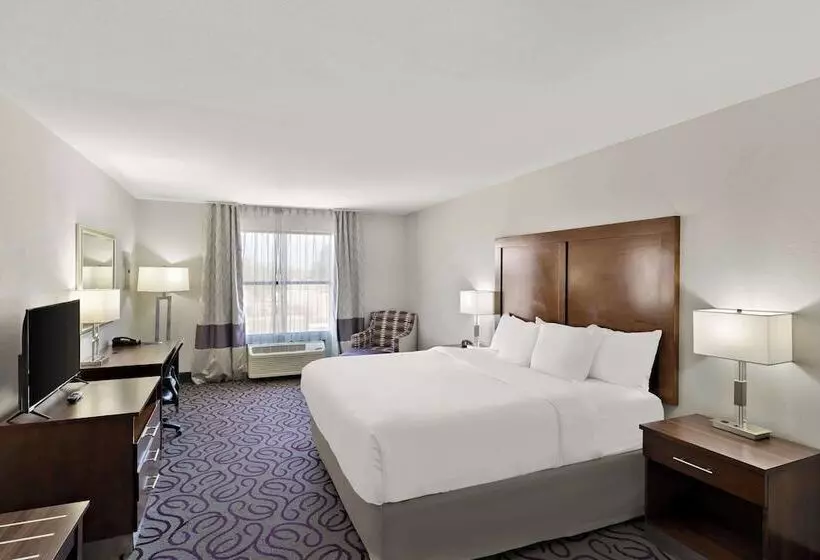 ホテル Comfort Inn & Suites