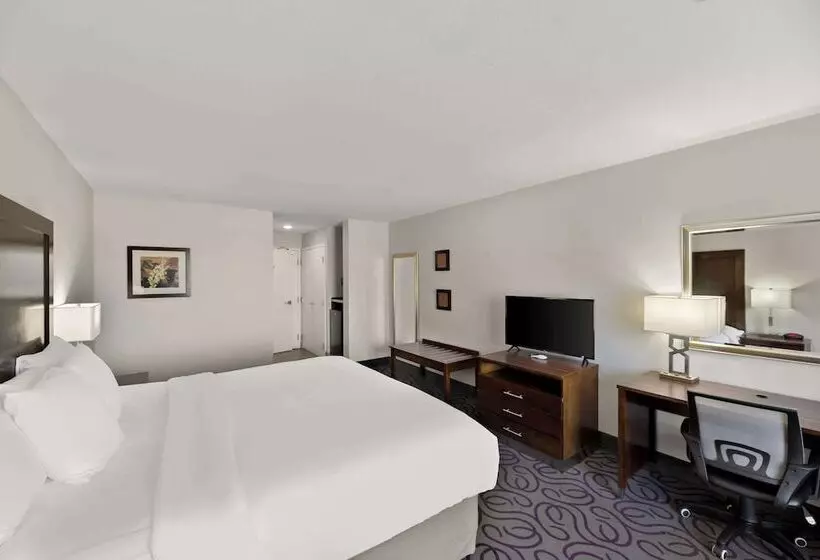 ホテル Comfort Inn & Suites