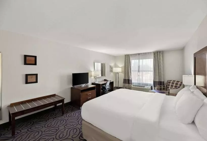 ホテル Comfort Inn & Suites