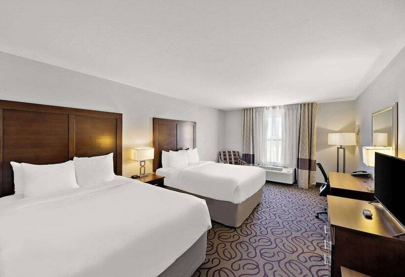 فندق Comfort Inn & Suites