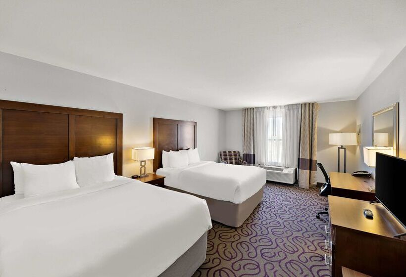 فندق Comfort Inn & Suites