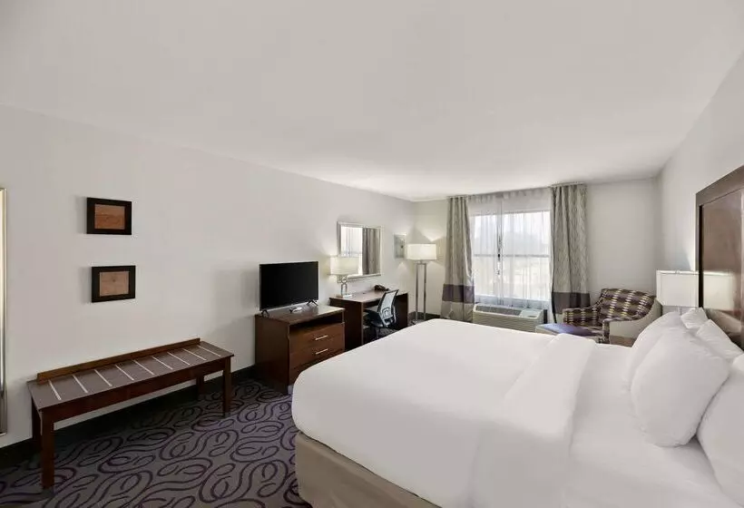 ホテル Comfort Inn & Suites