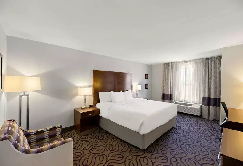 ホテル Comfort Inn & Suites