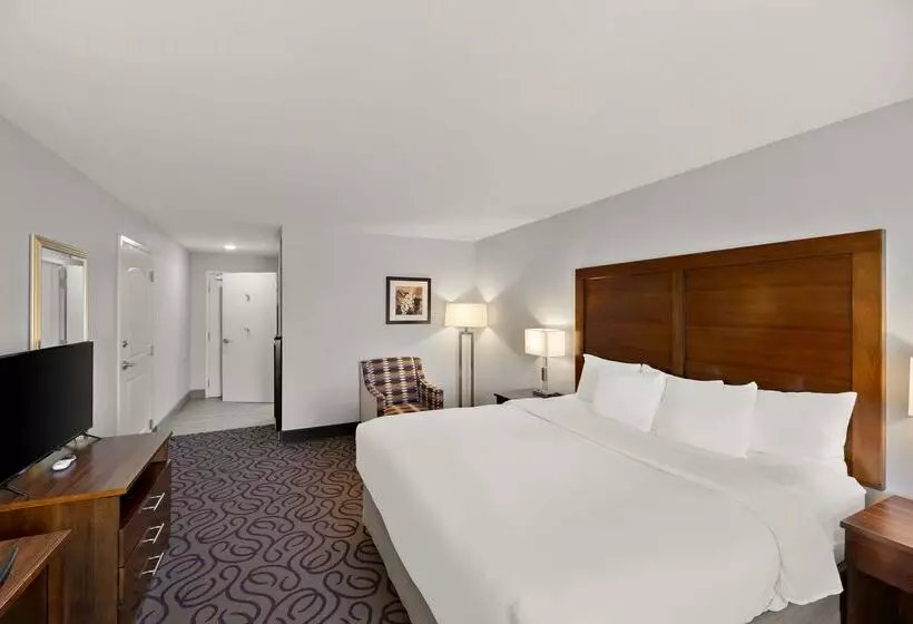 ホテル Comfort Inn & Suites