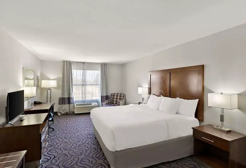 ホテル Comfort Inn & Suites