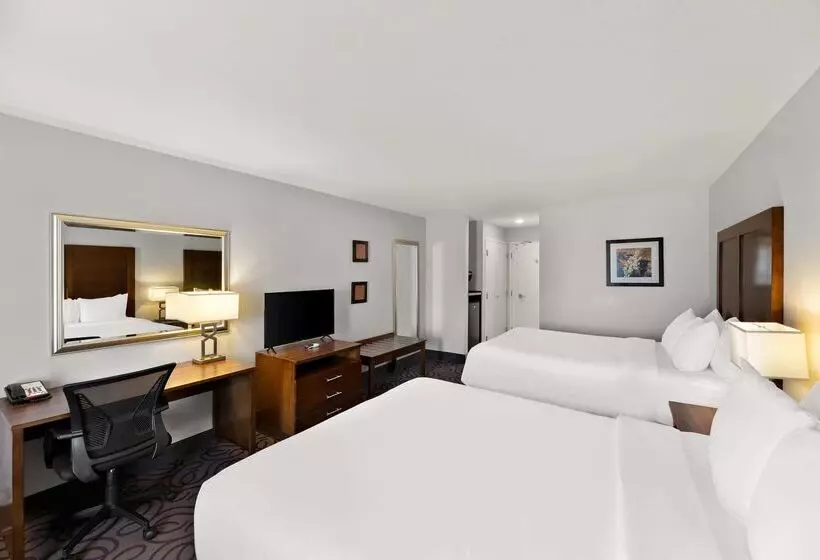 ホテル Comfort Inn & Suites