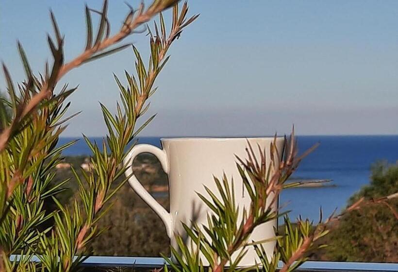 בית מלון כפרי Davia