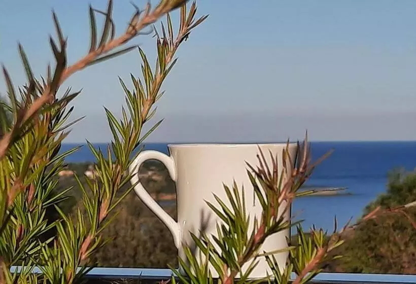 בית מלון כפרי Davia