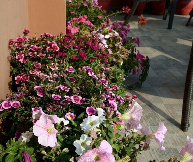 هتل Kasthamandap Boutique