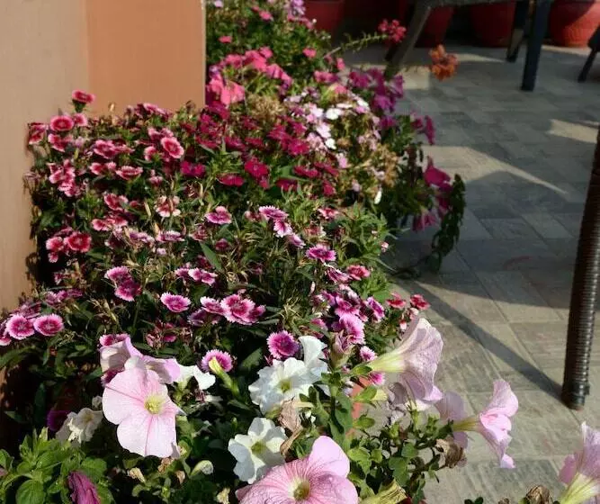 هتل Kasthamandap Boutique