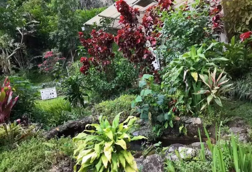 Hotel Moonriver Lodge