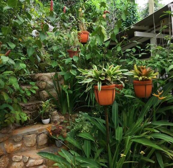 酒店 Moonriver Lodge