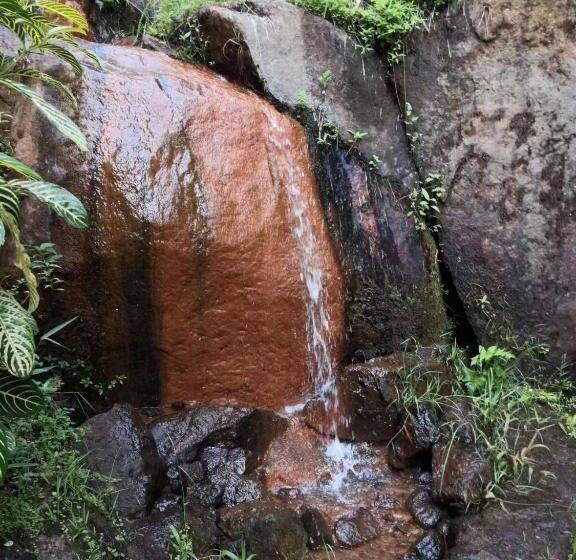 酒店 Moonriver Lodge