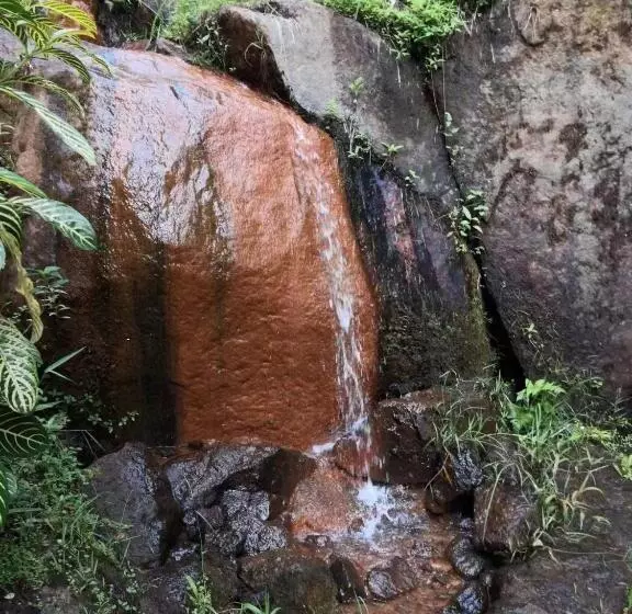 Hotel Moonriver Lodge