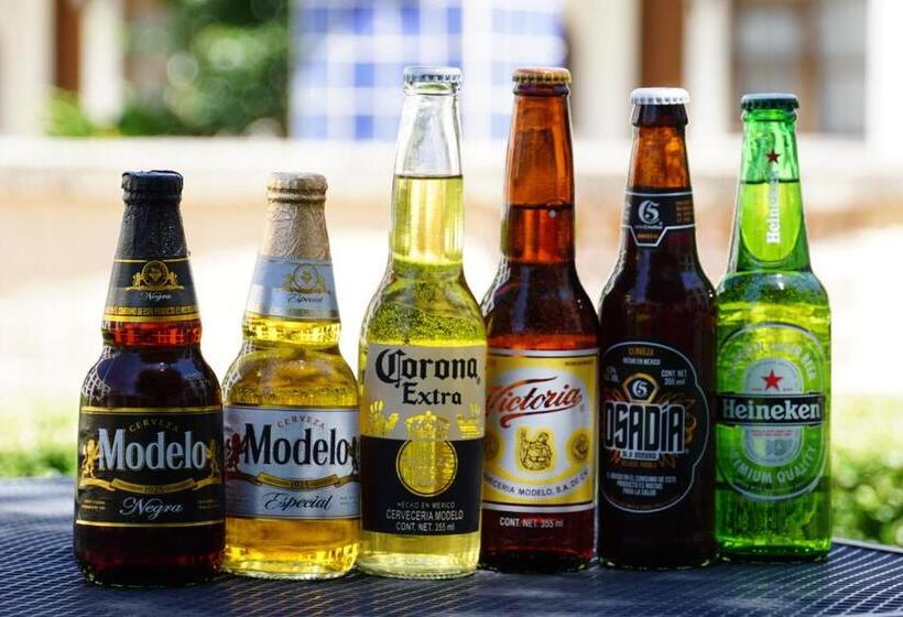 هتل Posada Senorial