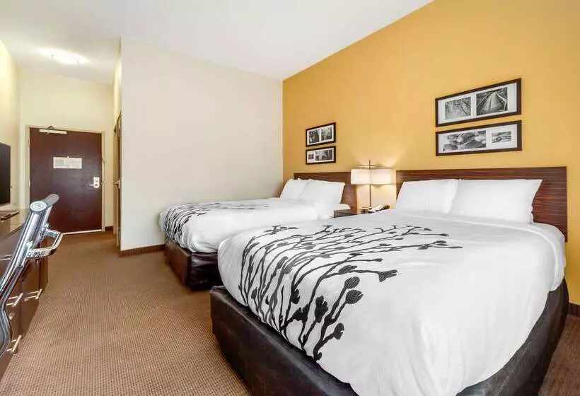 هتل Sleep Inn & Suites Lincoln University Area