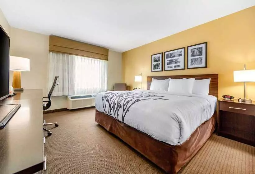 هتل Sleep Inn & Suites Lincoln University Area
