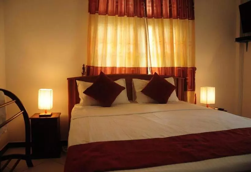 호텔 Vino Villa Tourists & Local Accommodations 24 Hrs