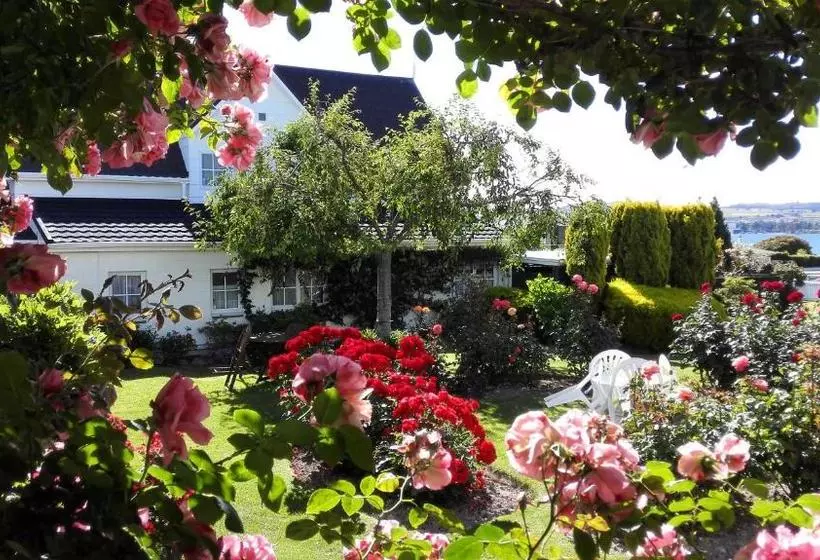 Motel Phoenix Thermal Resort Taupo