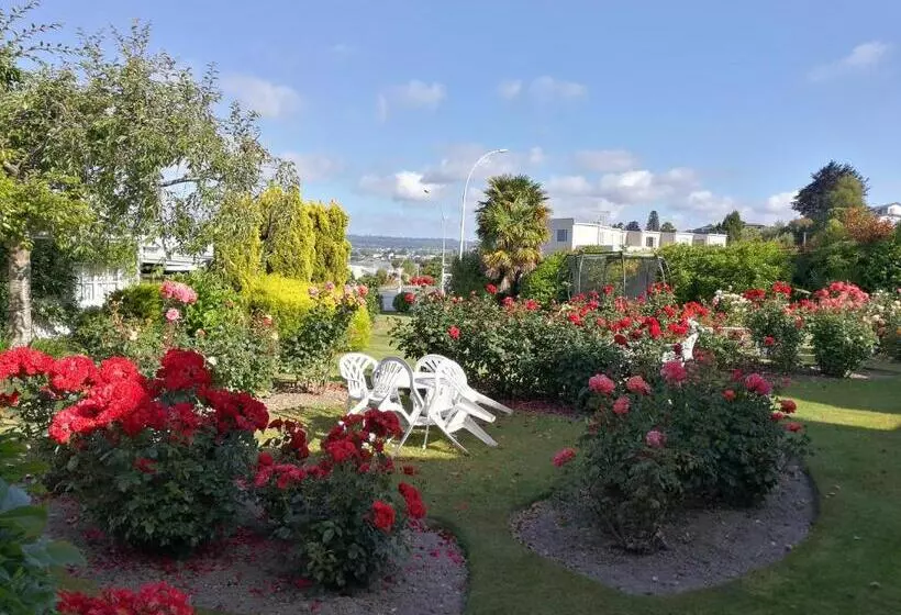 Motel Phoenix Thermal Resort Taupo