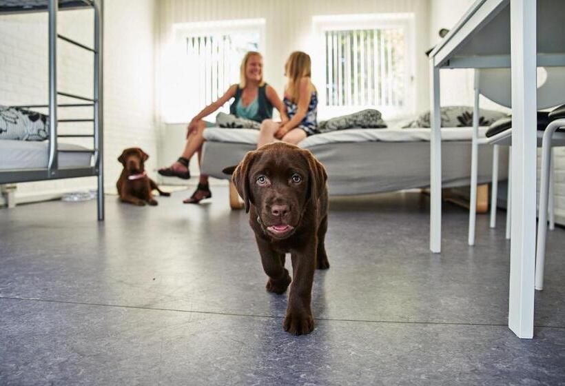 فندق صغير Family Rooms With Ensuite Bathrooms