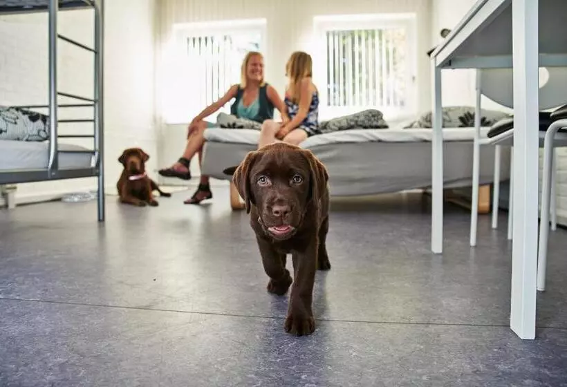 Cămin Family Rooms With Ensuite Bathrooms