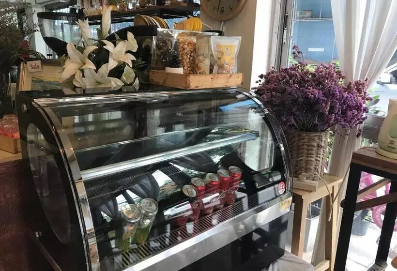 The Grace House Chiangmai   Hostel