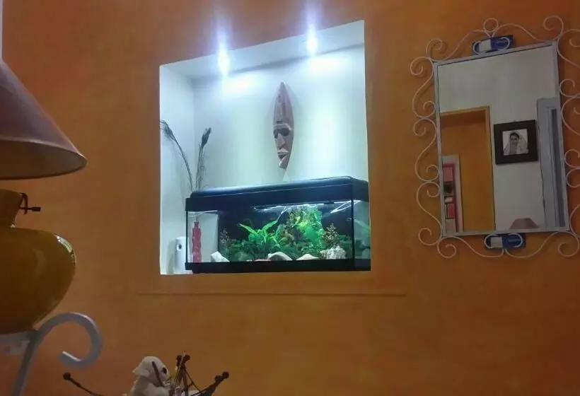 B&b Jamba Self Ceck In