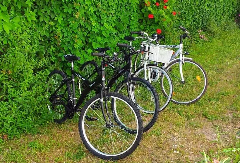 B&b Jamba Self Ceck In